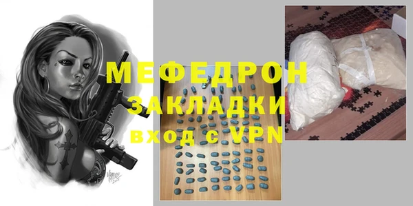 прущие грибы Ельня