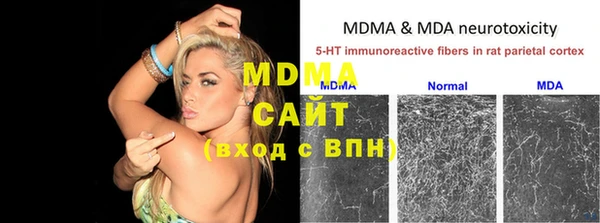 сатива Елабуга