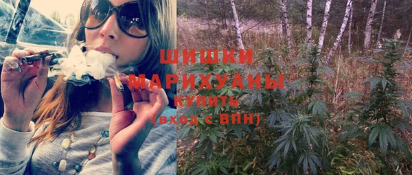 прущие грибы Ельня
