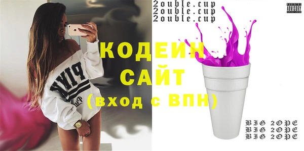 прущие грибы Ельня
