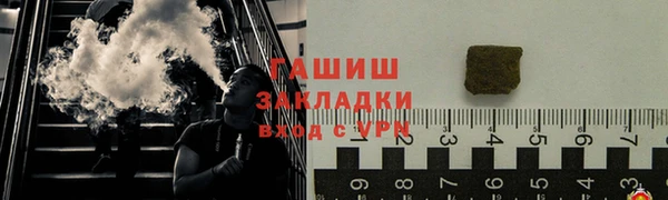 прущие грибы Ельня