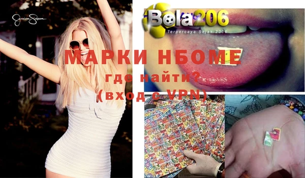 сатива Елабуга