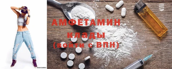 прущие грибы Ельня