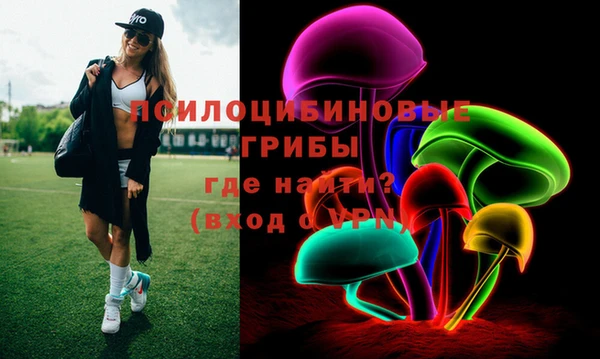 сатива Елабуга