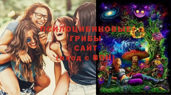 сатива Елабуга