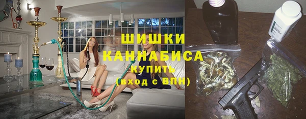 прущие грибы Ельня