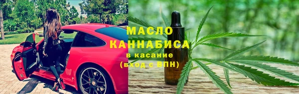 прущие грибы Ельня
