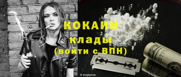 сатива Елабуга