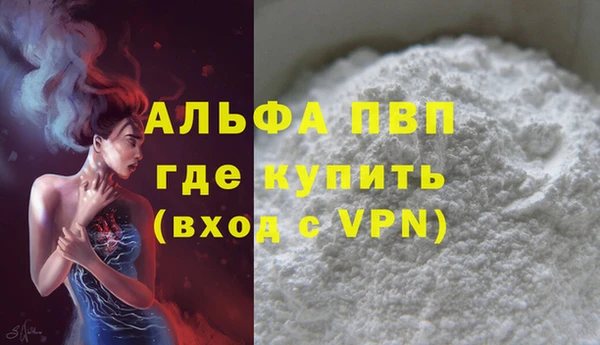 сатива Елабуга