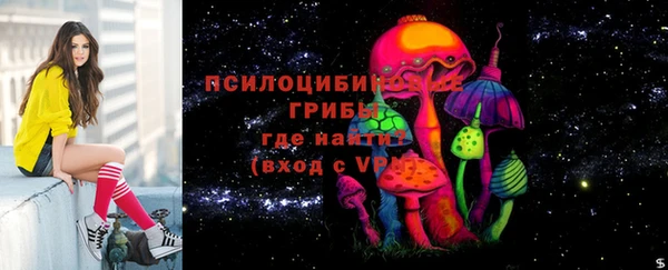 сатива Елабуга